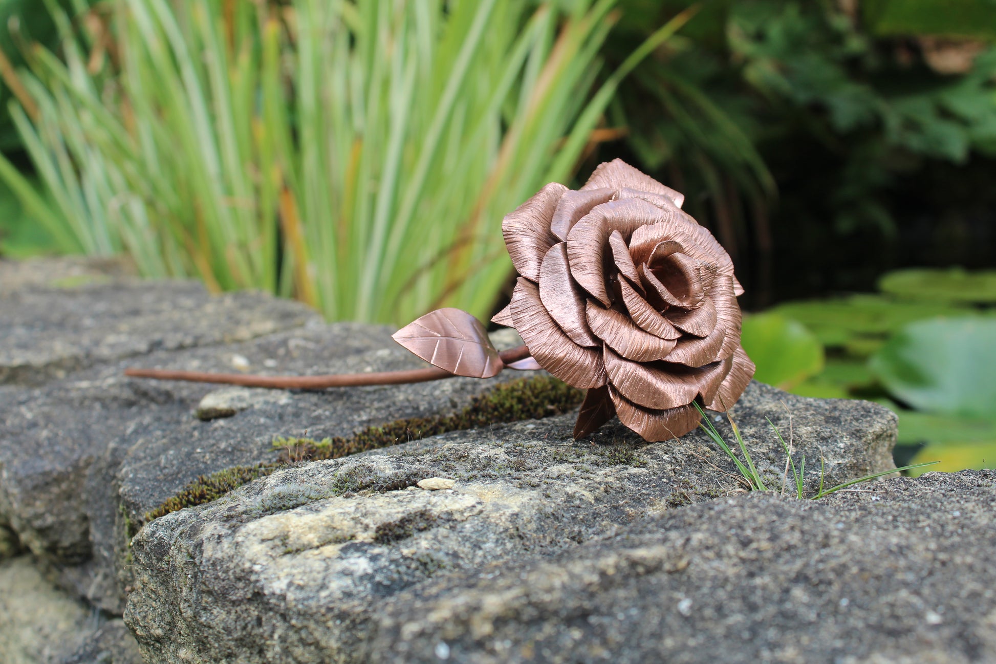 Copper Rose image 2