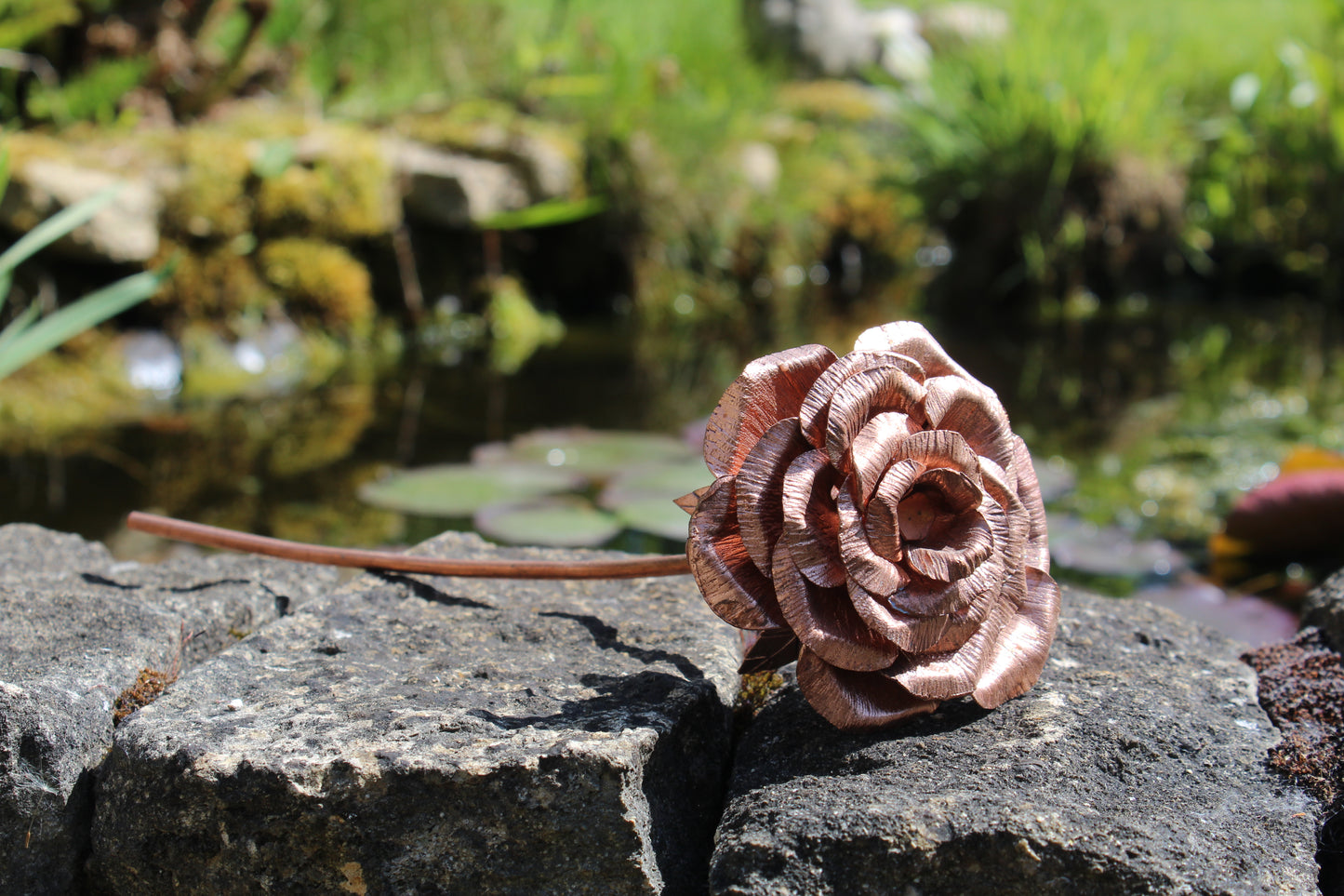 Copper Rose, 7th Anniversary