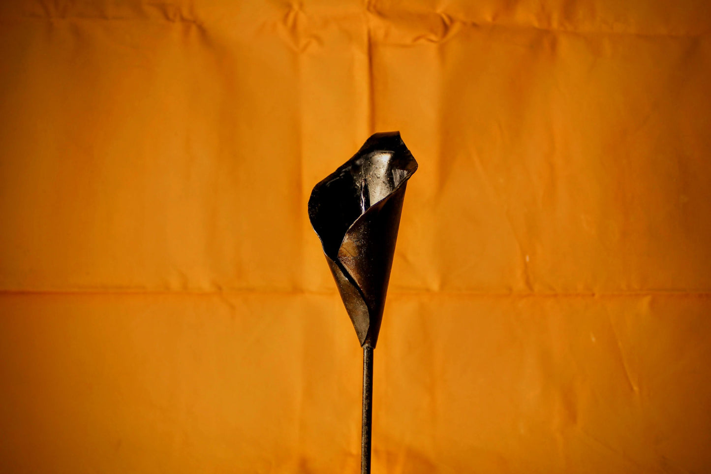 Iron Calla Lily, 6th Anniversary